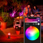 Philips Hue Calla LED 8W