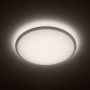 Philips Wawel LED 17W
