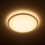 Philips Wawel LED 17W