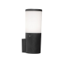 FUMAGALLI Amelia Wall
