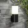 FUMAGALLI Amelia Wall