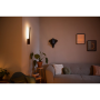 PHILIPS HUE Liane White & Color Ambiance LED