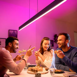 PHILIPS HUE Ensis White & Color Ambiance LED