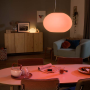 PHILIPS HUE Flourish Color and White Ambiance LED