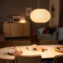 PHILIPS HUE Flourish Color and White Ambiance LED