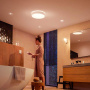 PHILIPS HUE Devere L White Ambiance LED 