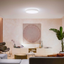 PHILIPS HUE Enrave XL White Ambiance LED 
