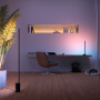 PHILIPS HUE Gradient Signe Floor Color Ambiance LED