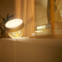 PHILIPS HUE Iris LED White & Color Ambiance