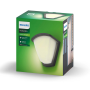 Philips Kiskadee 1xE27