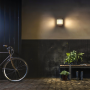 Philips Raccoon LED 1x3W