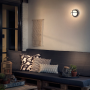 Philips Astilbe 1xE27