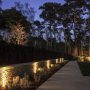 Forlight Ringo LED