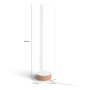 PHILIPS HUE Gradient White and Color Ambiance LED