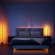 PHILIPS HUE Gradient White and Color Ambiance LED