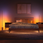 PHILIPS HUE Gradient White and Color Ambiance LED