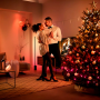 PHILIPS HUE Festavia Luzes Decorativas Gradient 250 Color and White ambiance LED