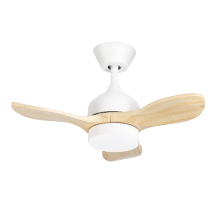 FORLIGHT Calar Ventoinha de Teto com luz 