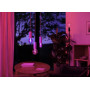 PHILIPS HUE 1xE27 G95 White and Color Ambiance LED
