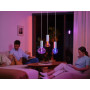 PHILIPS HUE 1xE27 Triângulo Vintage White and Color Ambiance LED