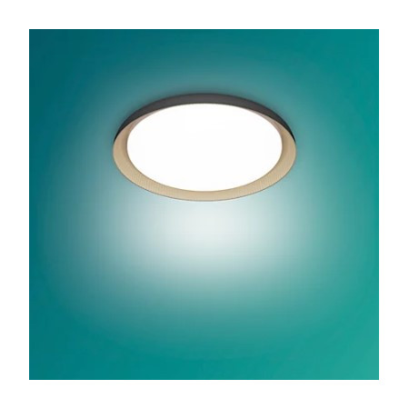 PHILIPS Pebblo LED