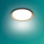 PHILIPS Pebblo LED