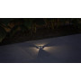 FORLIGHT Senya LED