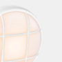 FORLIGHT Fond