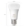 PHILIPS HUE 2xE27 White & Color LED
