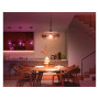 PHILIPS HUE 2xE27 White and Color Ambiance LED