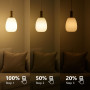 ENERGETIC Standard Step-dim LED E27-A60 4.9W Equiv.60W 2700K (Branco Quente)