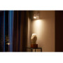PHILIPS HUE Argenta White and Color Ambiance LED