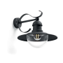 Philips Topiary 1x60W